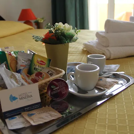 Hotel Minerva 3*